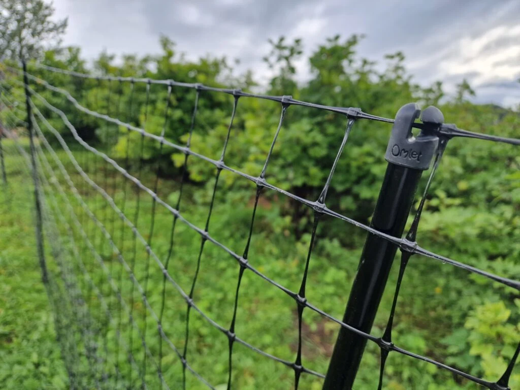 Nærbilde av hønsegjerdet