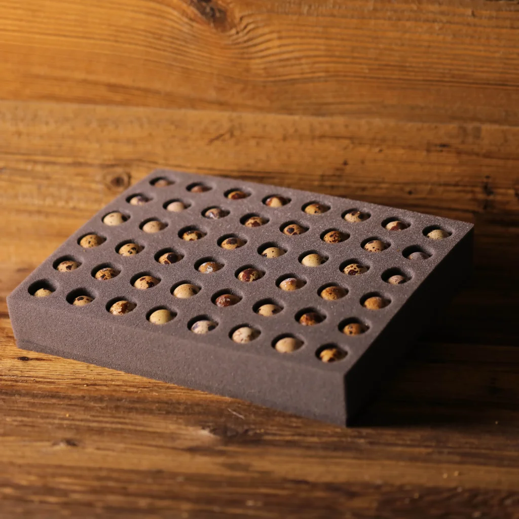 Skumform for sending av rugeegg – 48 vaktelegg