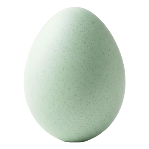 Celadon egg
