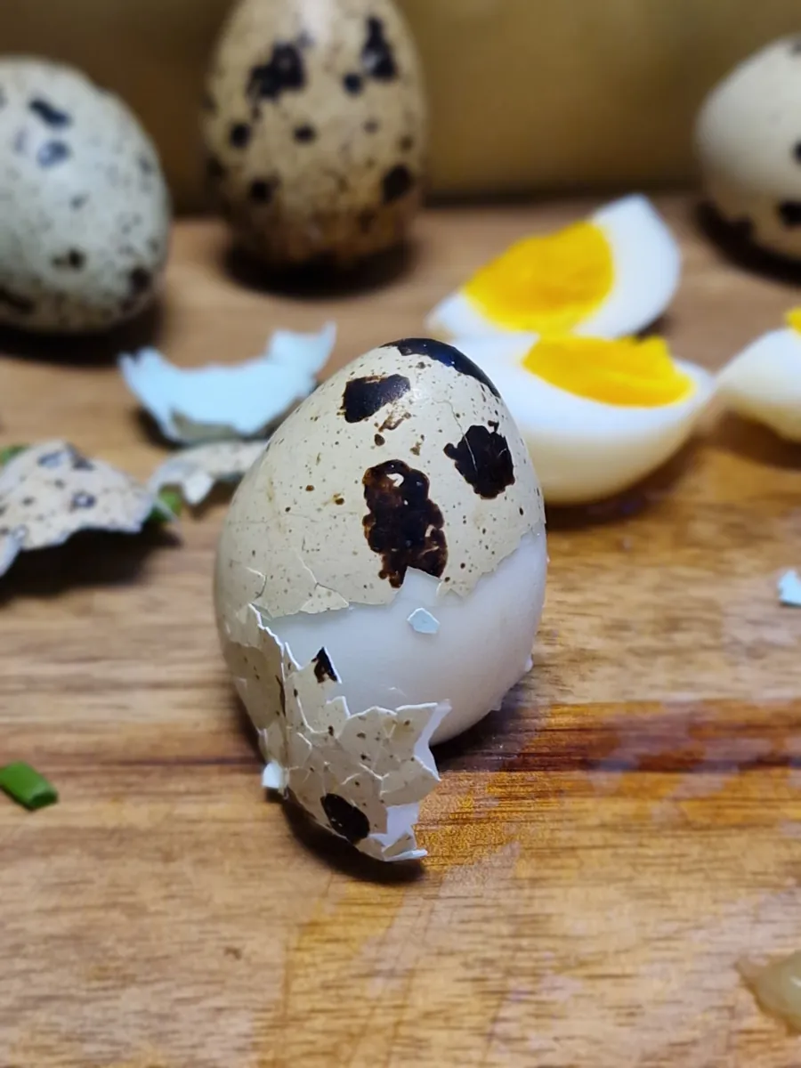 Skrelt hardkokt vaktelegg med sprukket skall på skjærefjøl, med halde kokte vaktelegg og eggeskall i bakgrunnen